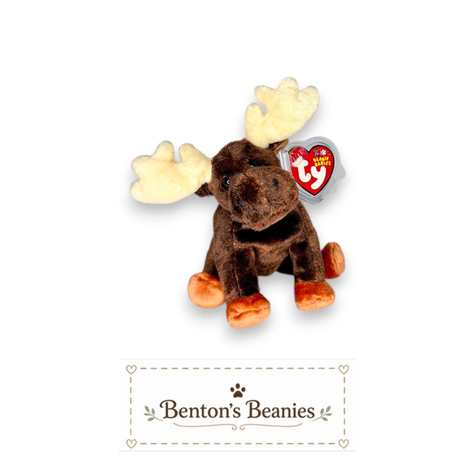Zeus the Moose TY Beanie Baby | Mint Heart & Tush Tag