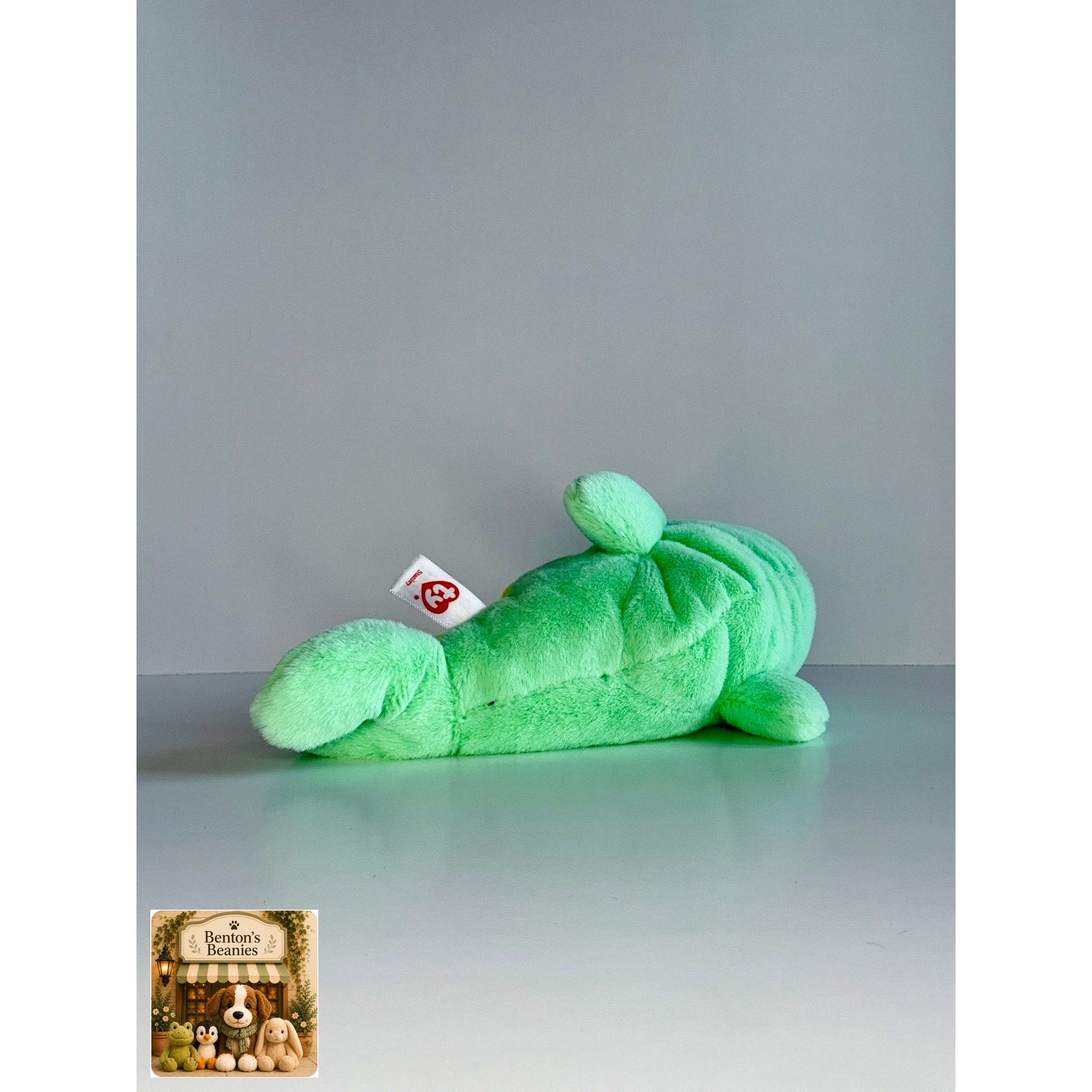 Stanley the Seal TY Beanie Baby | Mint Heart/Tush Tag NEW