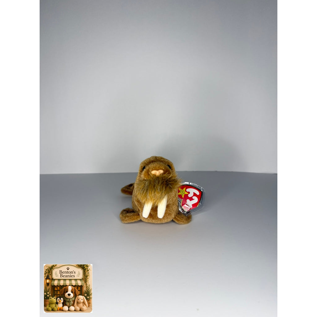 Paul the Walrus TY Beanie Baby | Mint Heart & Tush Tag