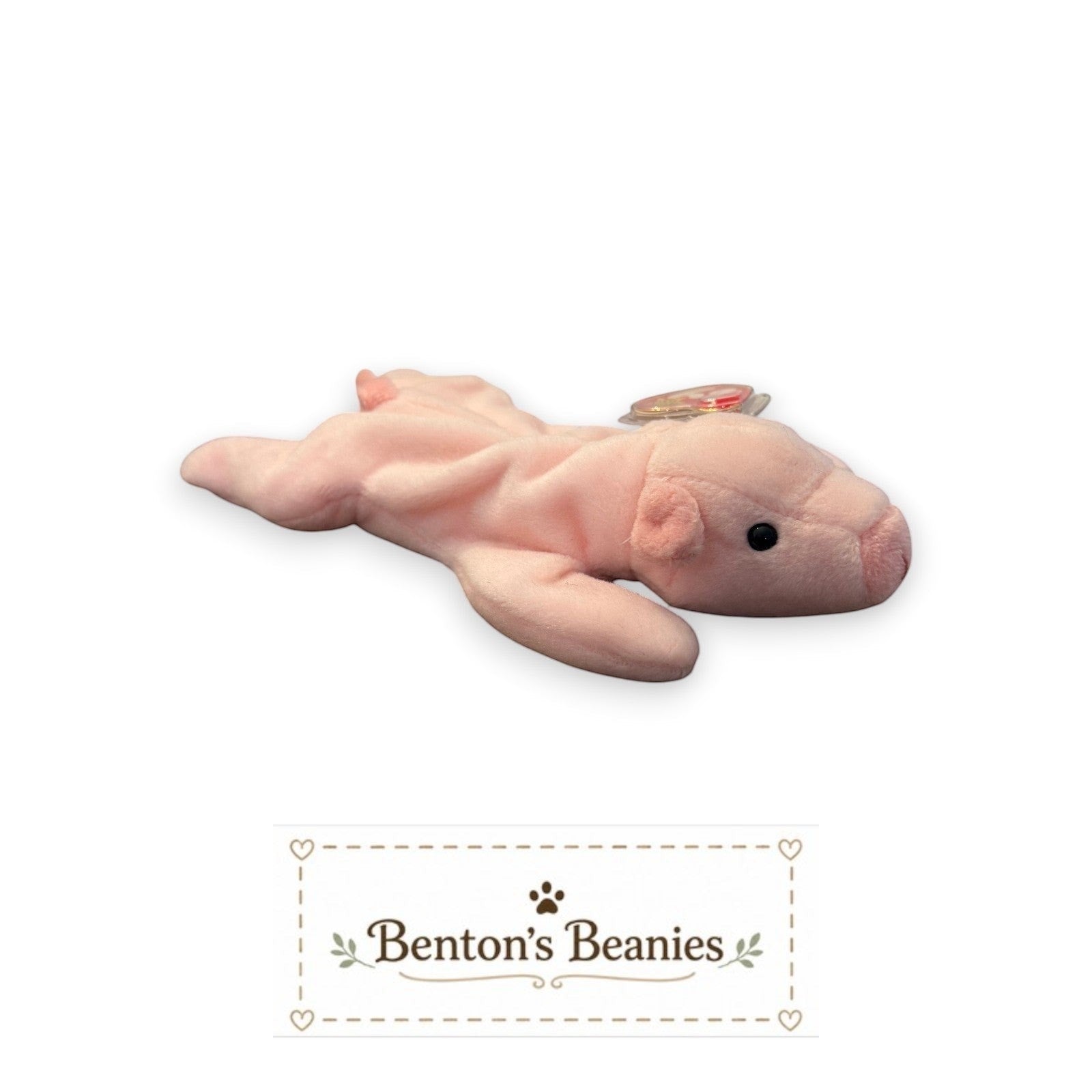 Squealer the Pig TY Beanie Baby | Mint Heart & Tush Tag