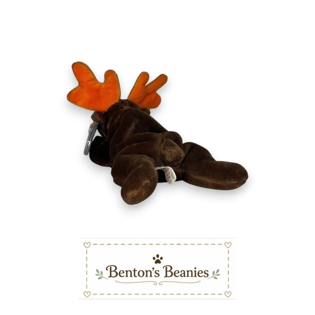 Chocolate the Moose TY Beanie Baby  | Mint Heart & Tush Tag
