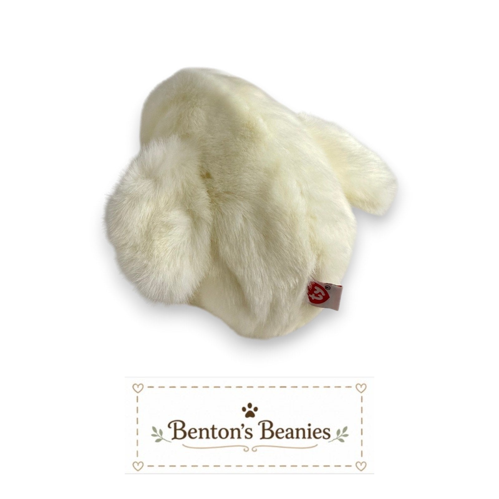 Misty the Seal TY Classic (Buddy Size) | Mint Heart Tush Tag