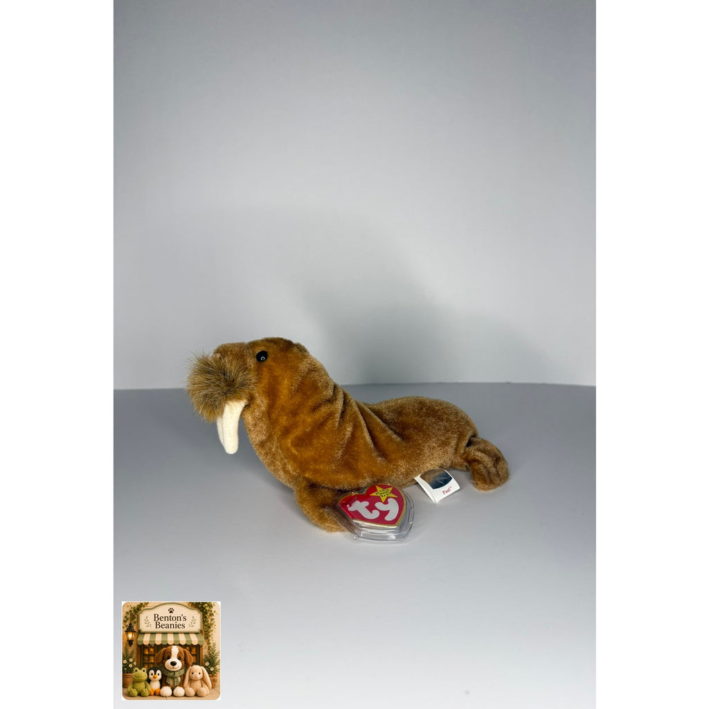 Paul the Walrus TY Beanie Baby | Mint Heart & Tush Tag