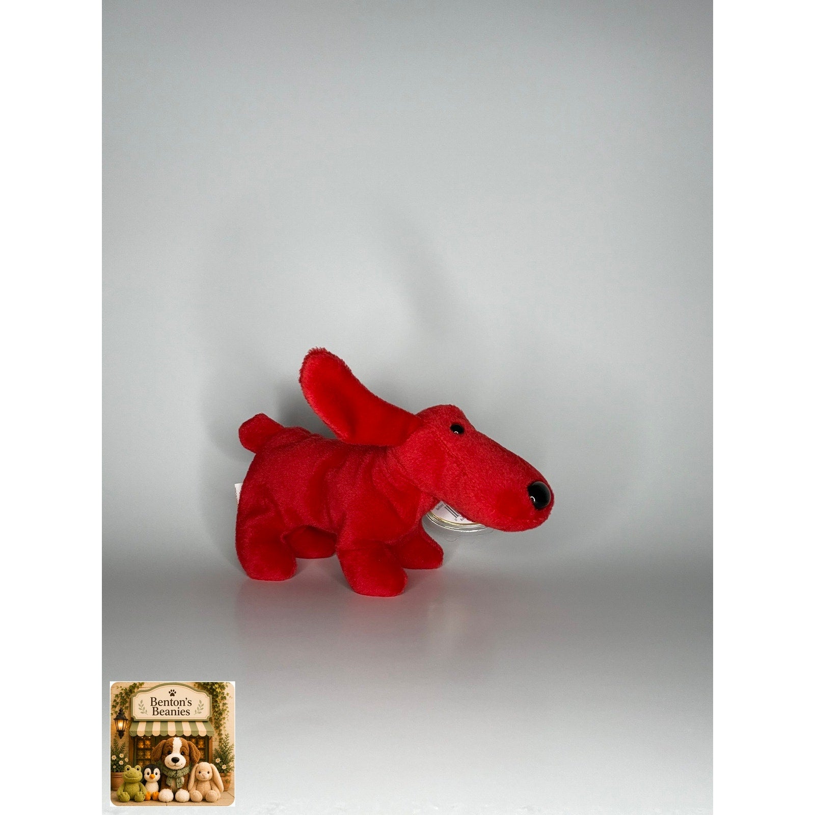 Rover the Dog TY Beanie Baby | Mint Heart & Tush Tag
