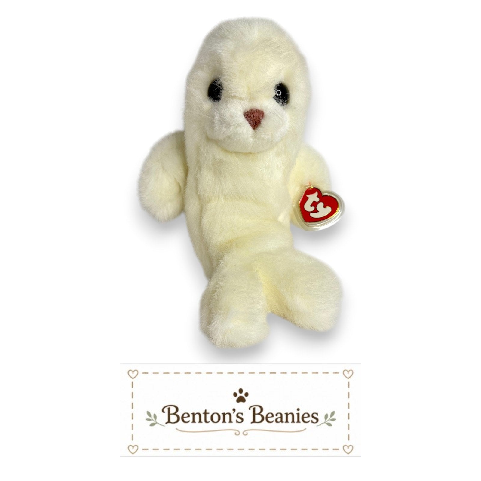 Misty the Seal TY Classic (Buddy Size) | Mint Heart Tush Tag