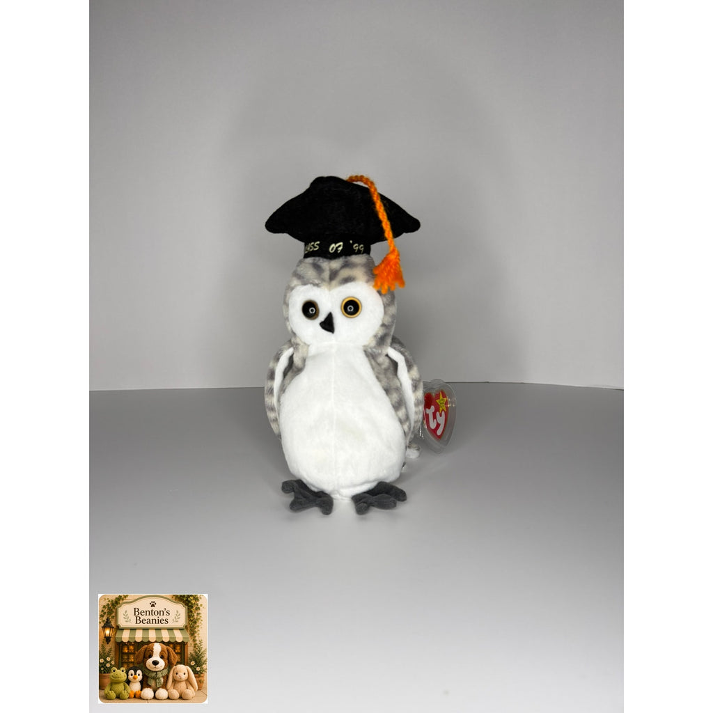 Wiser the Owl TY Beanie Baby | Mint Heart & Tush Tag