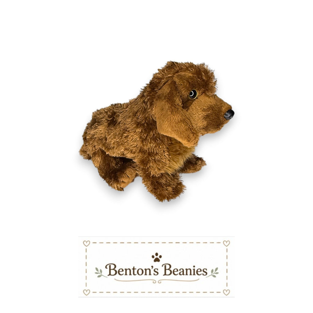 Seadog the Dog TY Beanie Baby | Mint Heart & Tush Tag