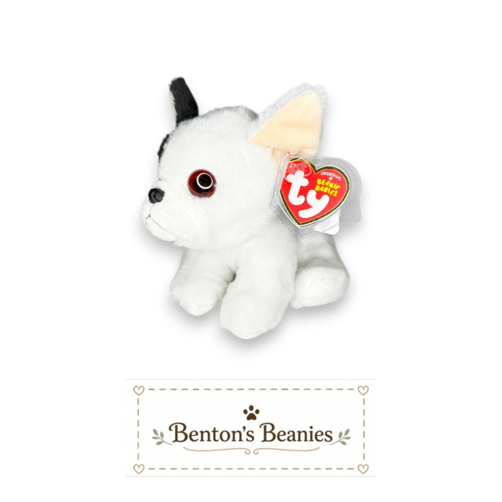 Marcel the Dog TY Beanie Baby | Mint Heart & Tush Tag