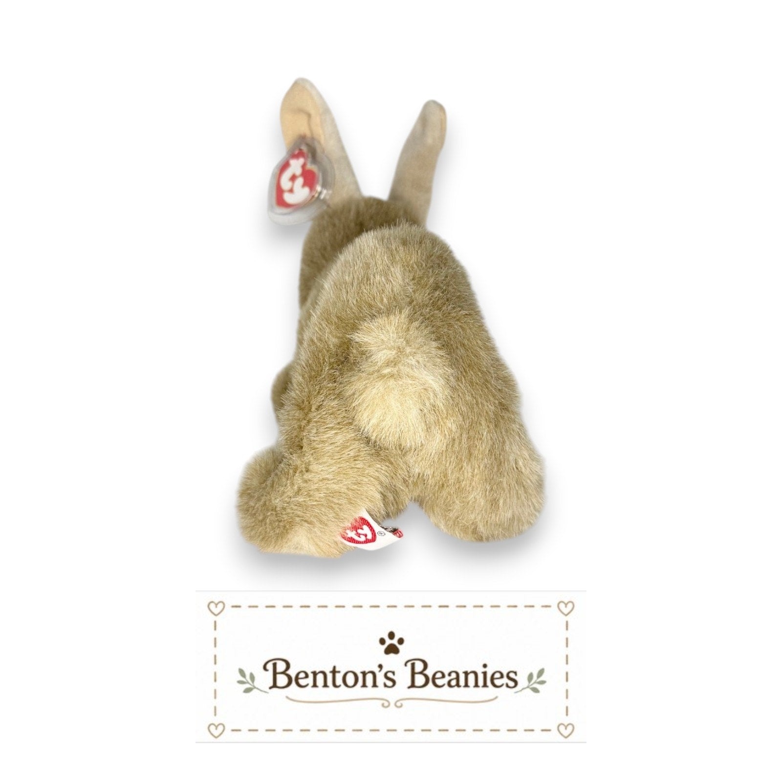 Buttons the Bunny TY Classic (TY Buddies Size) | Mint Tags