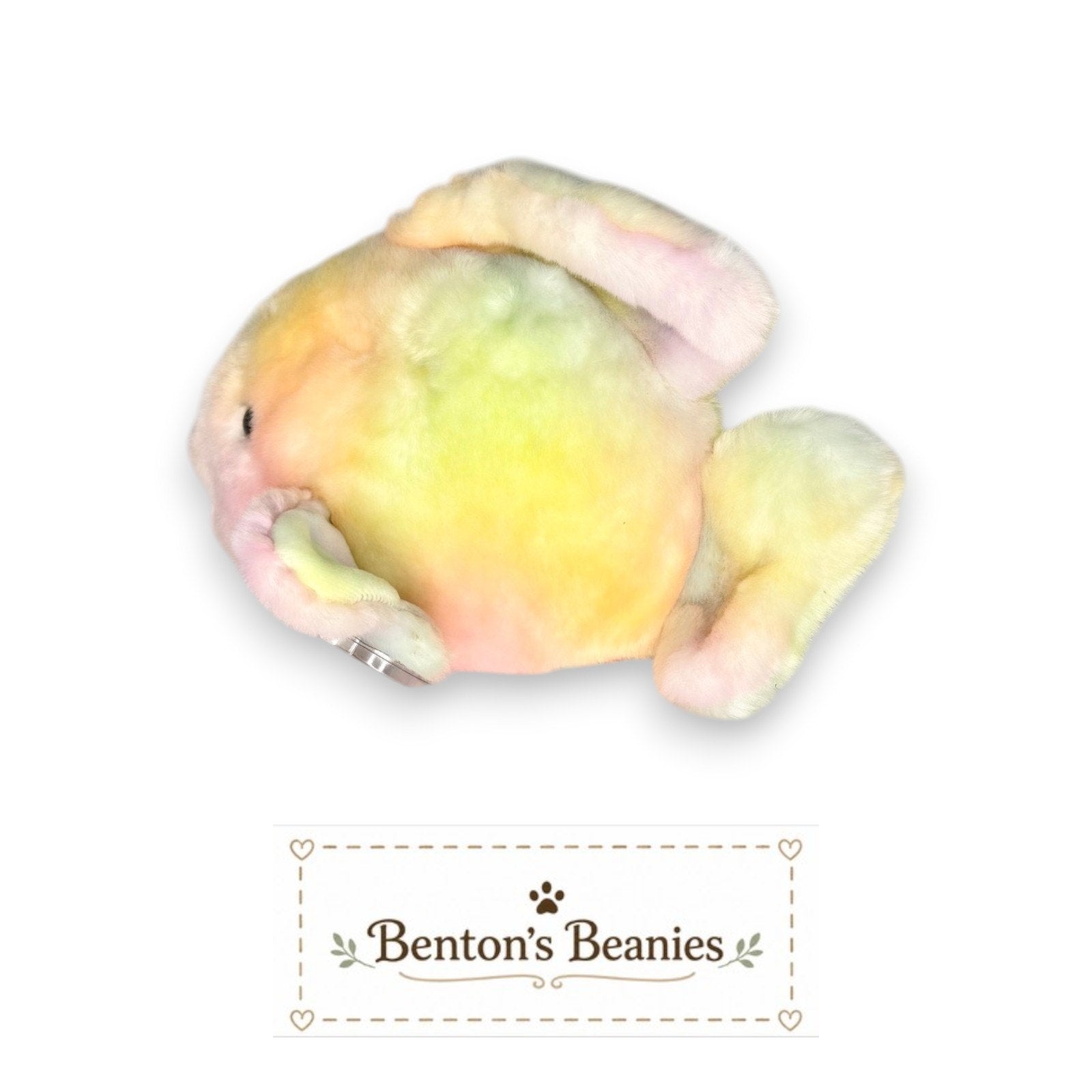 Coral the Fish TY Beanie Buddies | Mint Tags