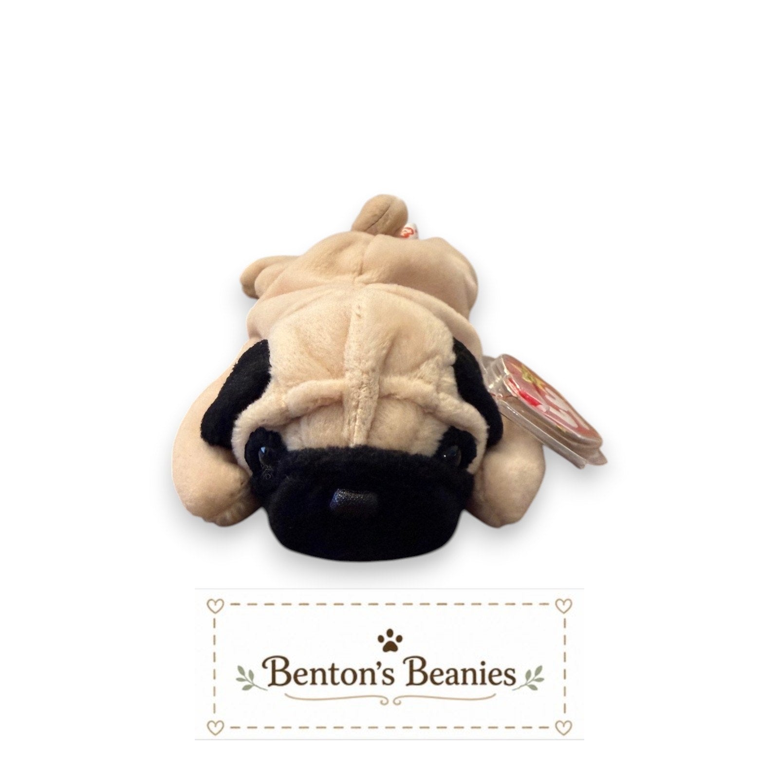Pugsly the Pug Dog TY Beanie Baby | Mint Heart & Tush Tag
