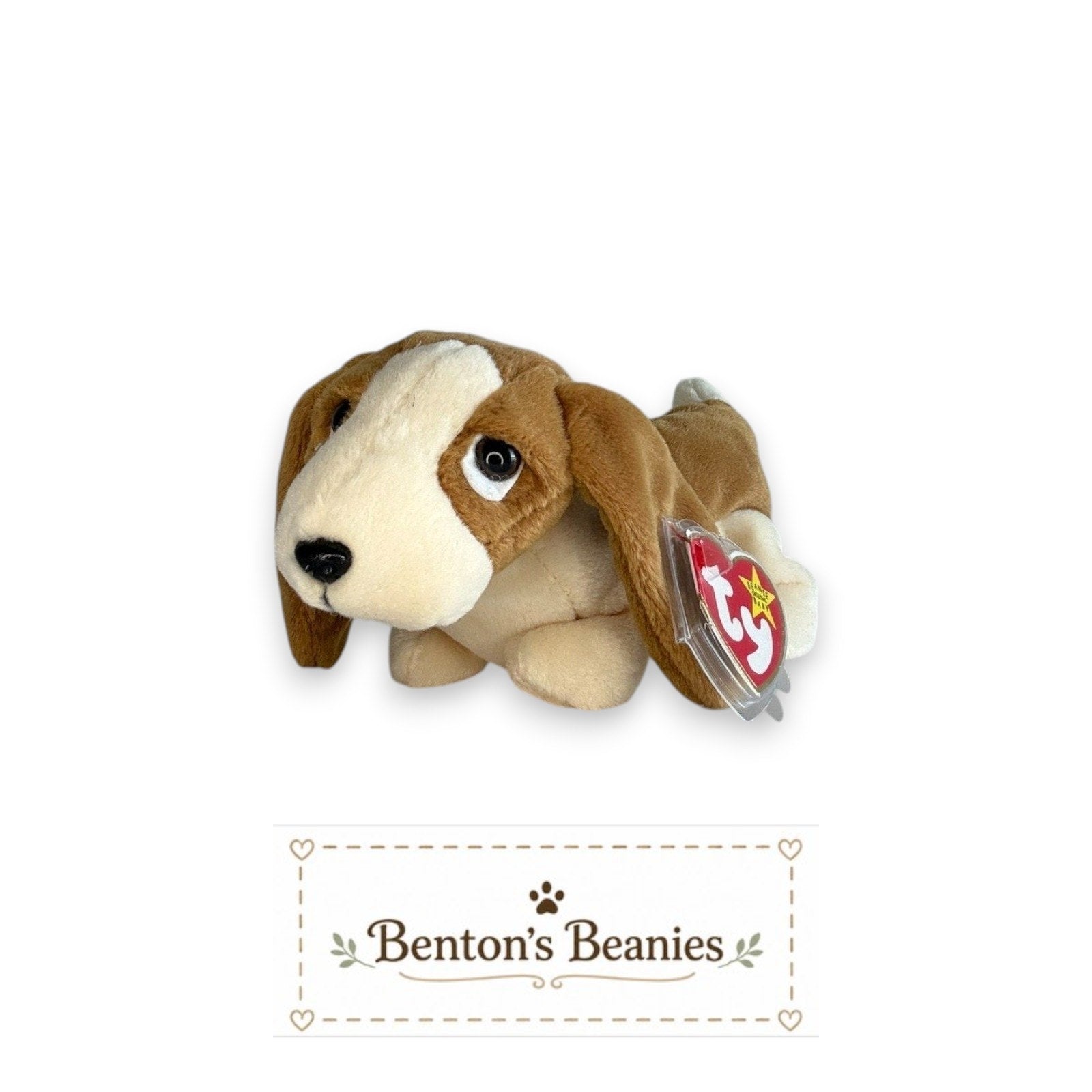 Tracker the Dog TY Beanie Baby | Mint Heart & Tush Tag