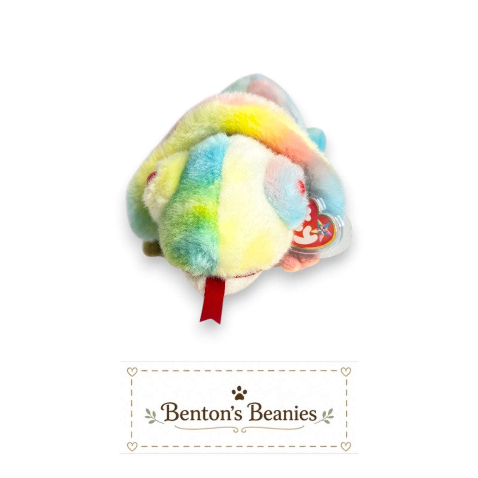 Rainbow the Iguana TY Beanie Buddies | Mint Heart Tush Tags