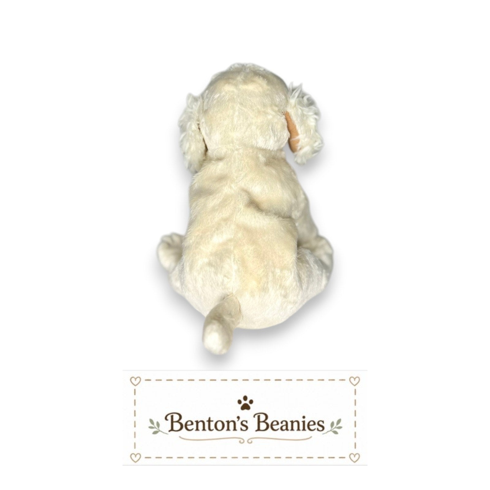 Laptop the Dog TY Beanie Baby | Mint Heart & Tush Tag