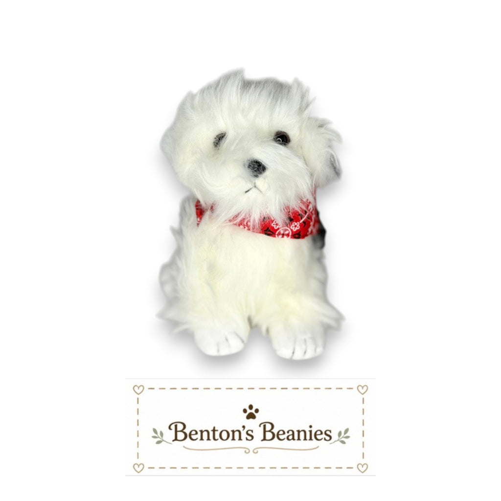 Hobo the Dog TY Beanie Baby | Mint Heart & Tush Tag