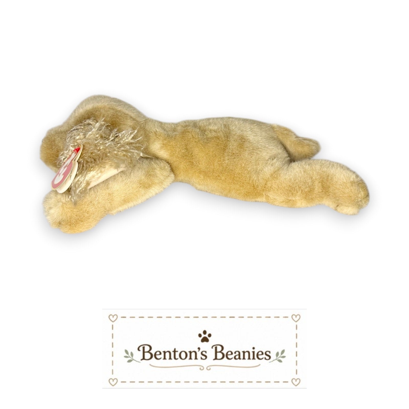 Charlie the Dog TY Classic (Beanie Buddies Size) | Mint Tags