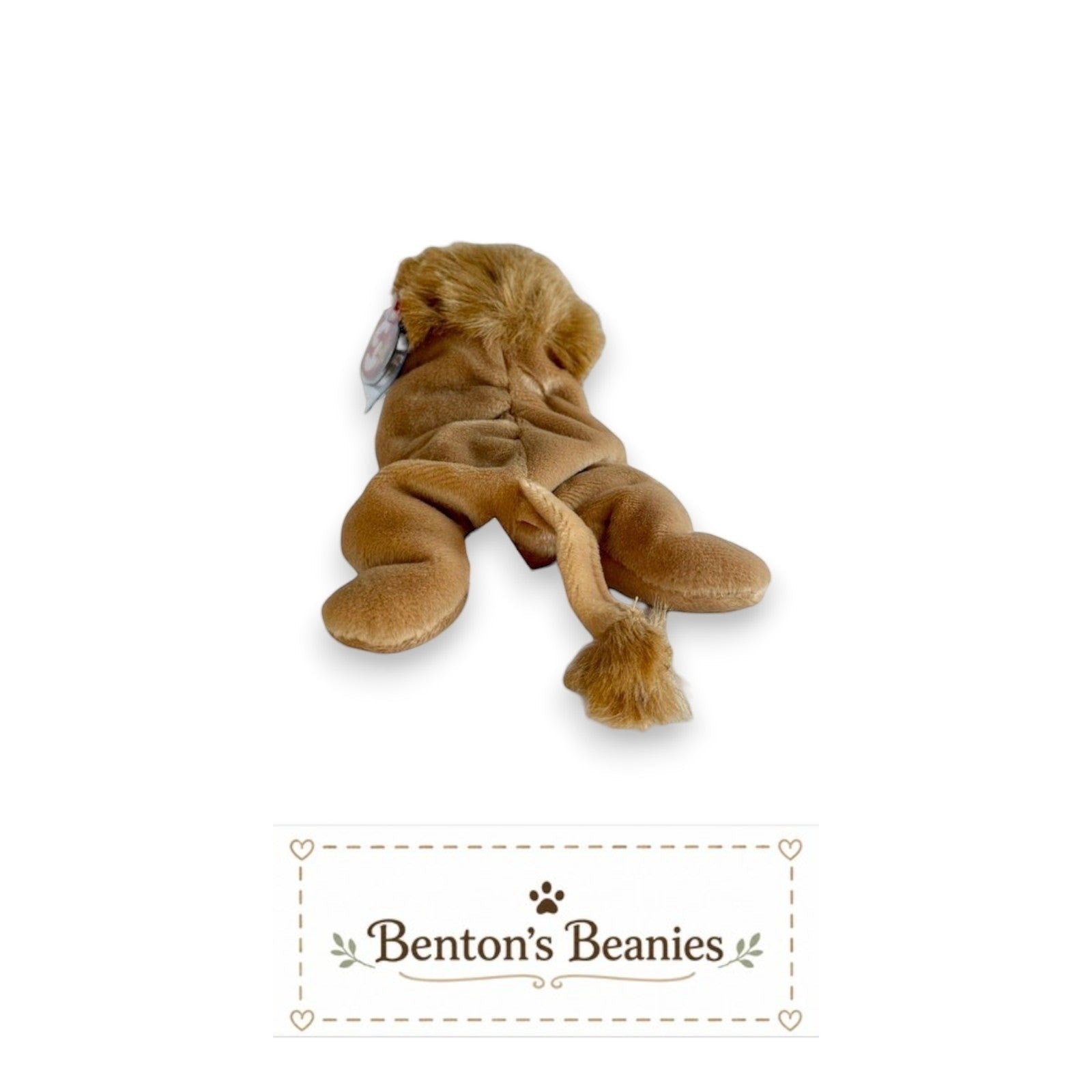 Roary the Lion TY Beanie Baby | Mint Heart & Tush Tag