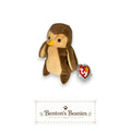 Hoot the Owl TY Beanie Baby | Mint Heart & Tush Tag