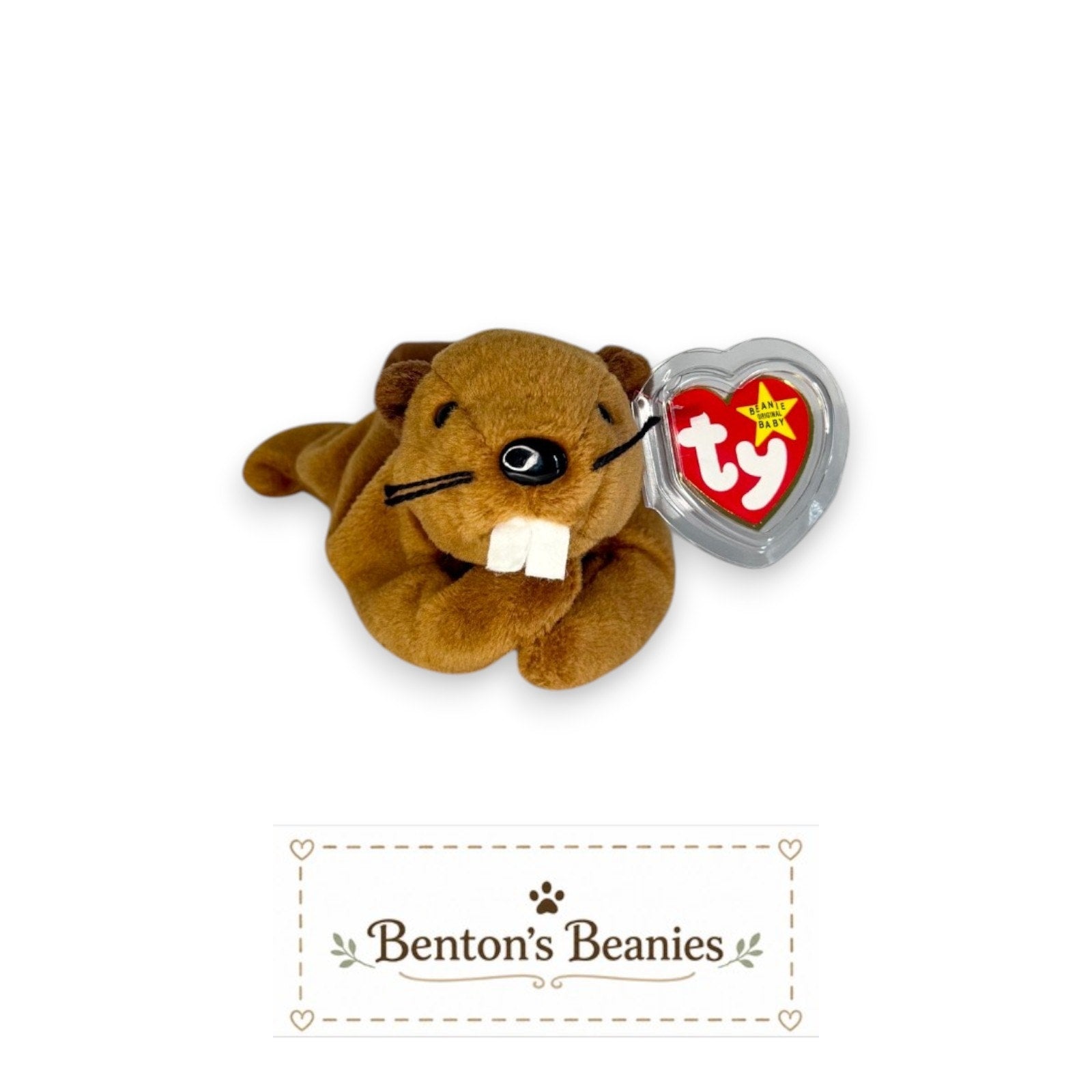 Bucky the Beaver TY Beanie Baby | Mint Heart & Tush Tag