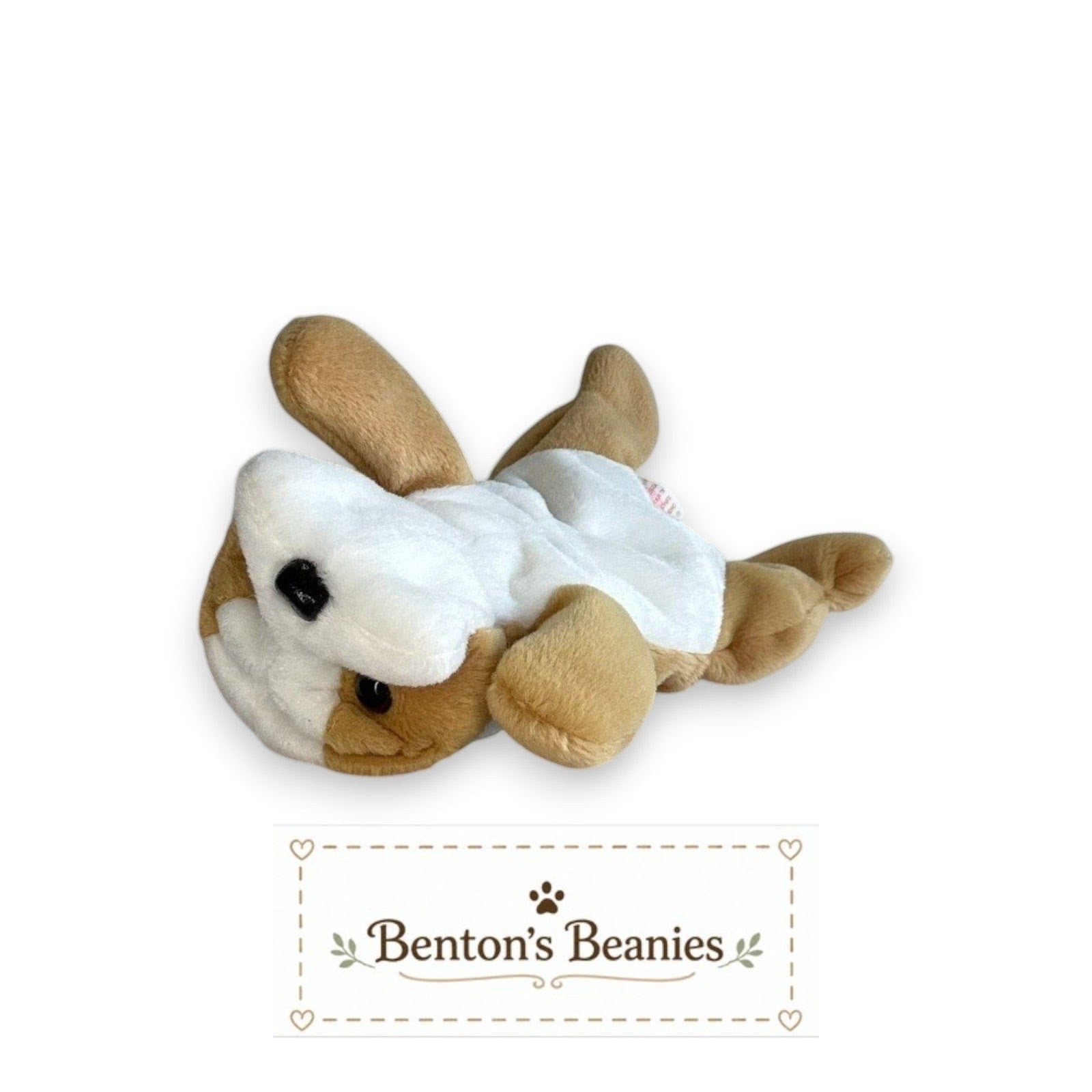 Wrinkles the Dog TY Beanie Baby | Mint Heart & Tush Tag