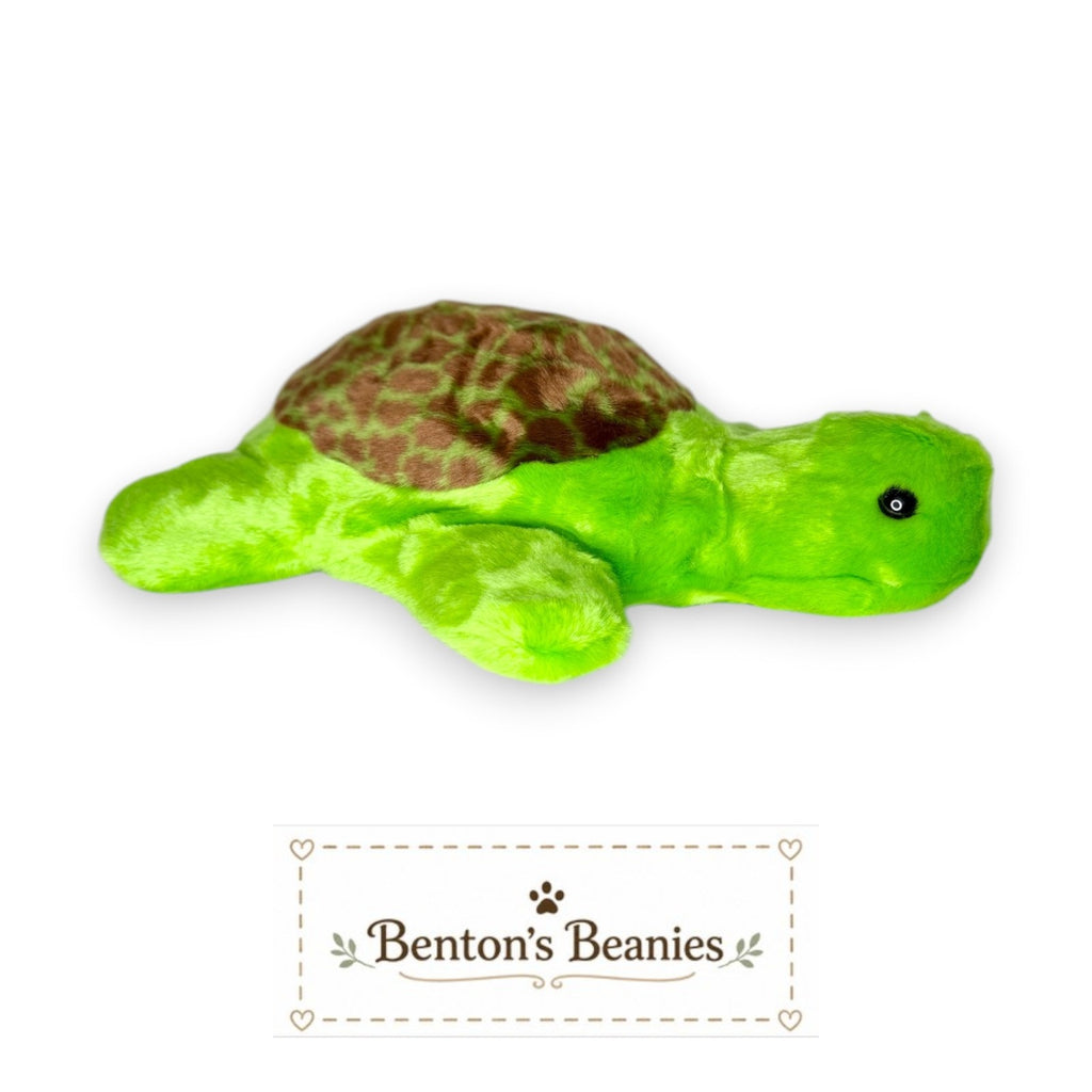 Speedy the Turtle TY Beanie Buddies | Mint Heart & Tush Tags