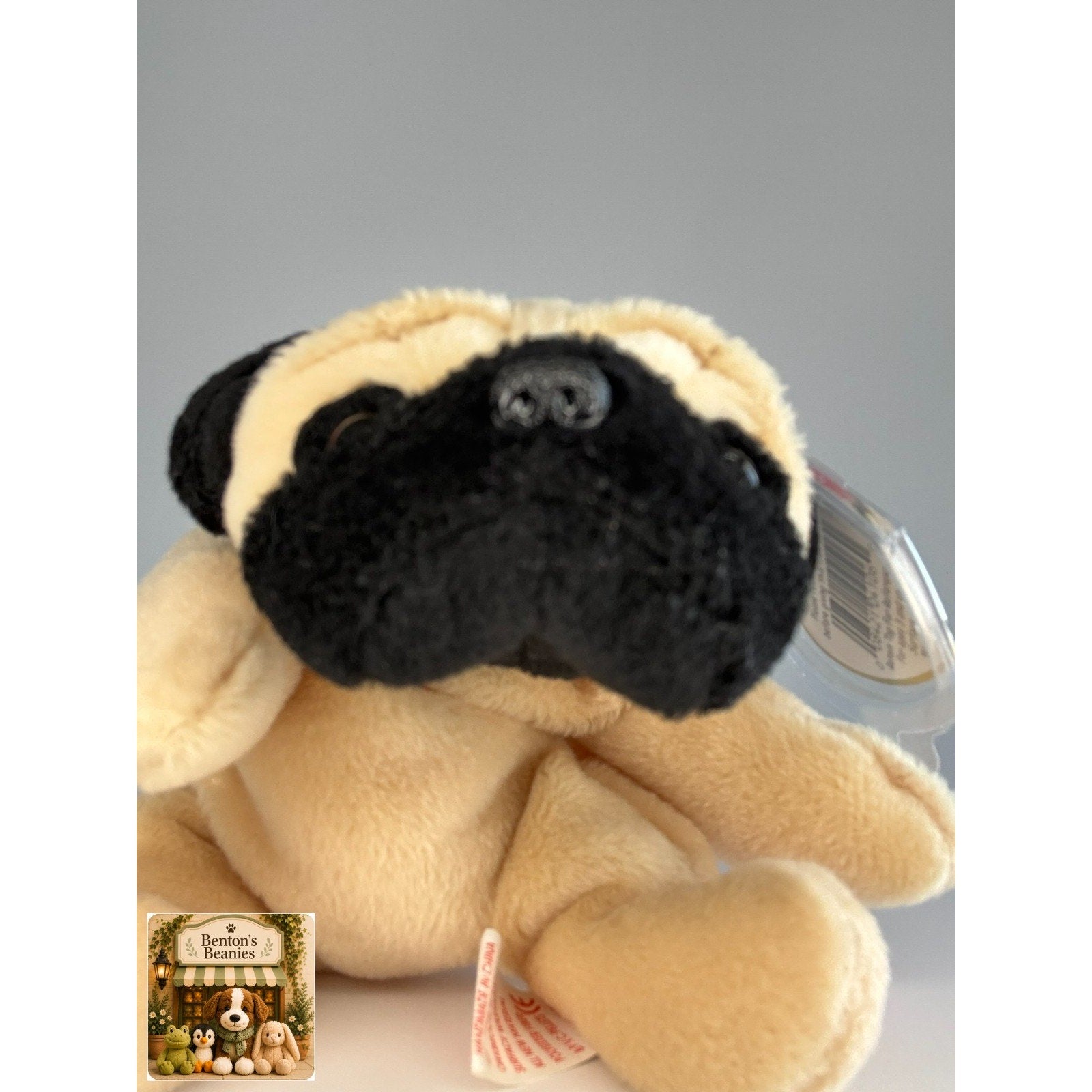 Pugsly the Pug Dog TY Beanie Baby | Mint Heart & Tush Tag