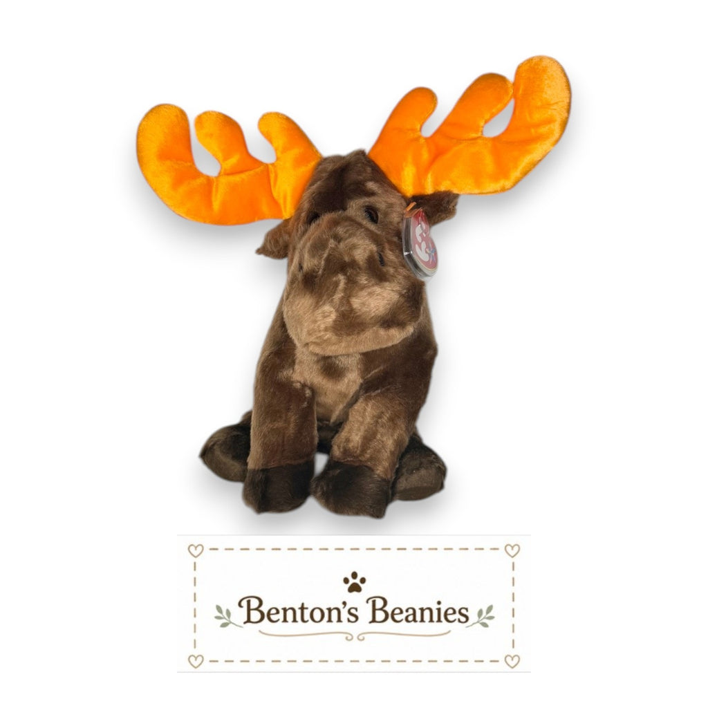 Chocolate the Moose TY Beanie Buddies | Mint Tags