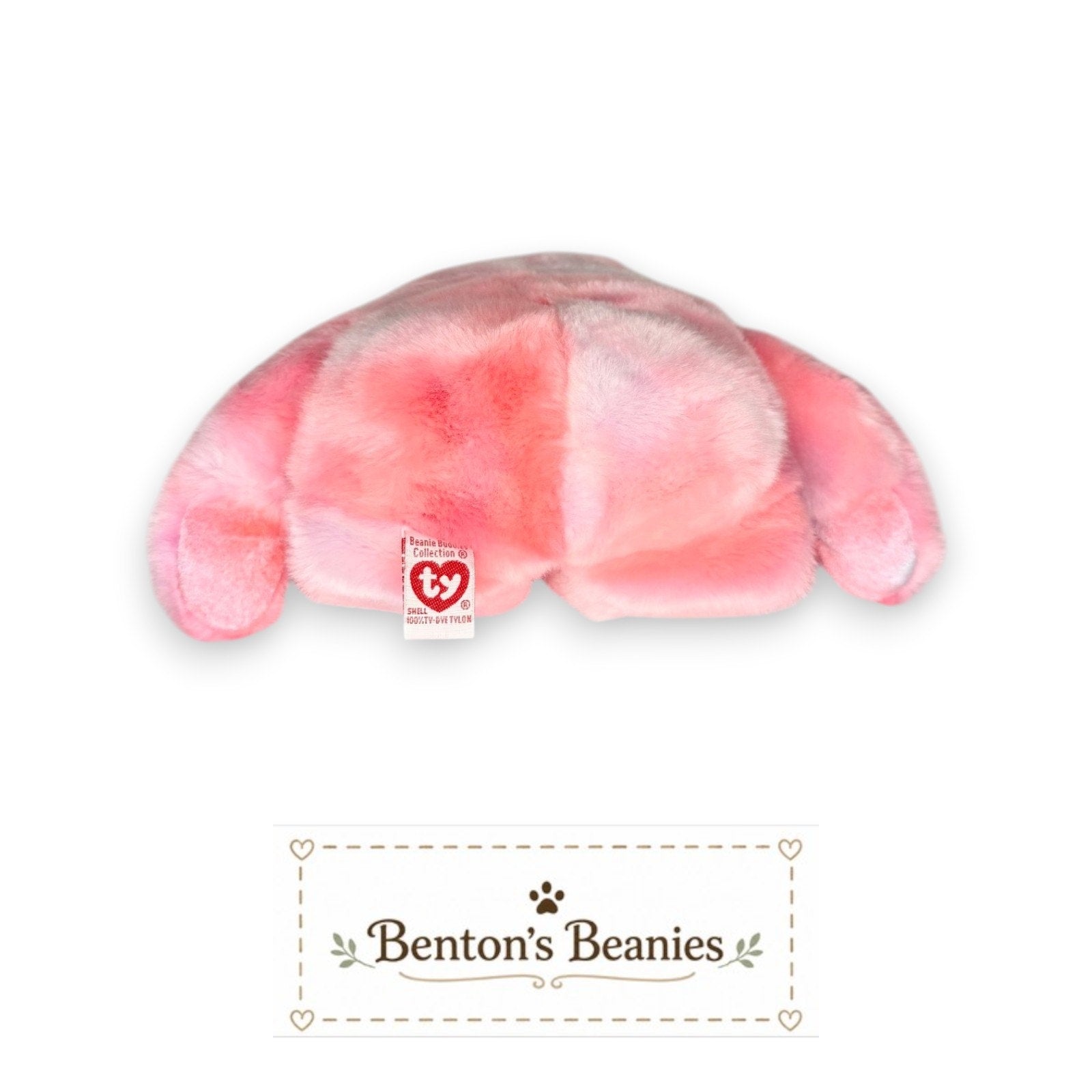 Clubby the Bear 5th Anniversary Edition TY Beanie Buddies