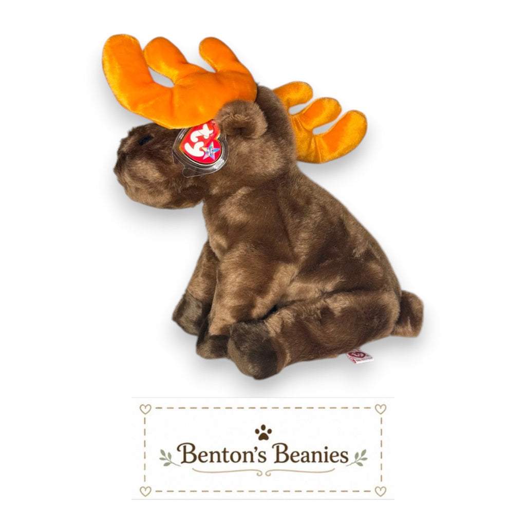 Chocolate the Moose TY Beanie Buddies | Mint Tags