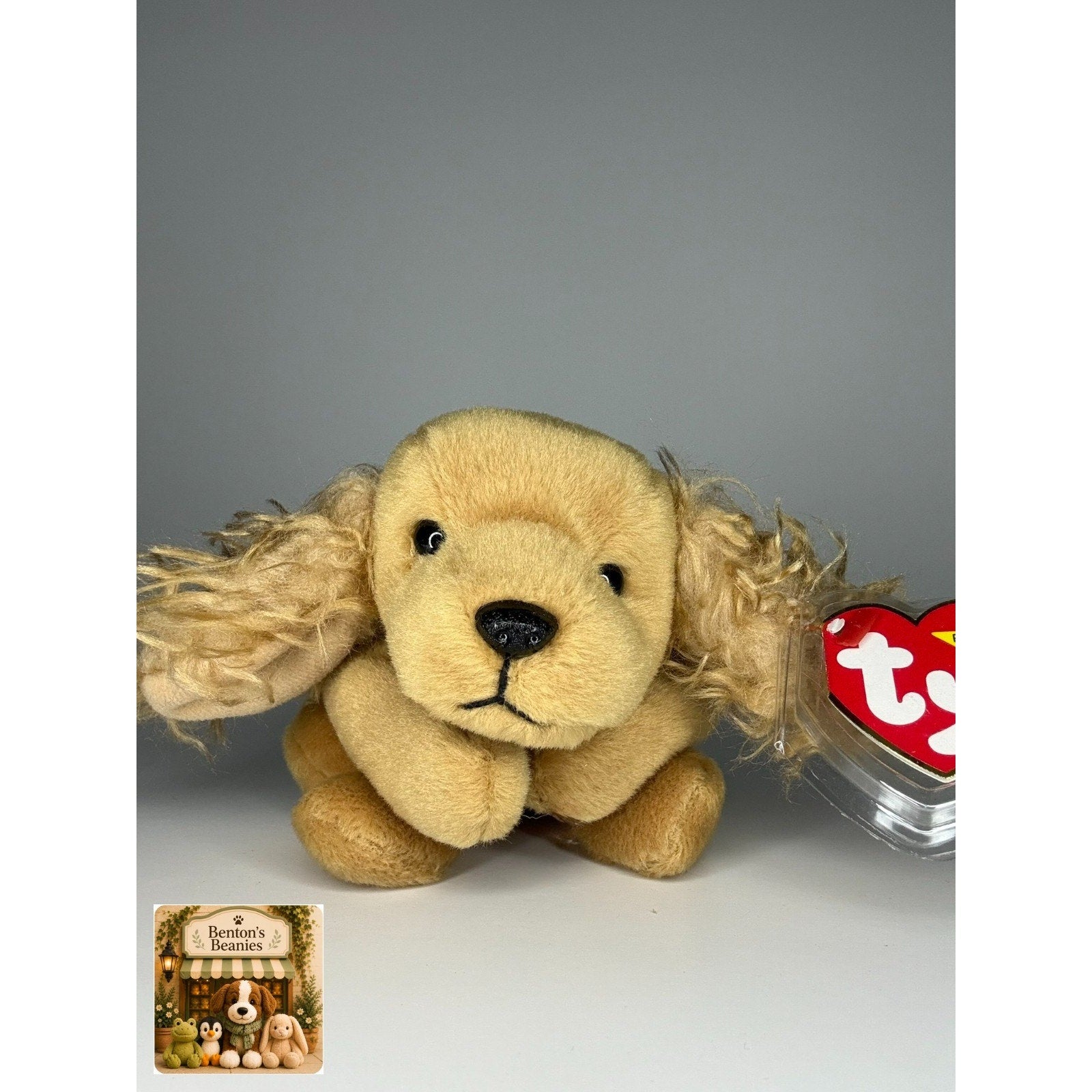Spunky the Dog TY Beanie Baby | Mint Heart & Tush Tag