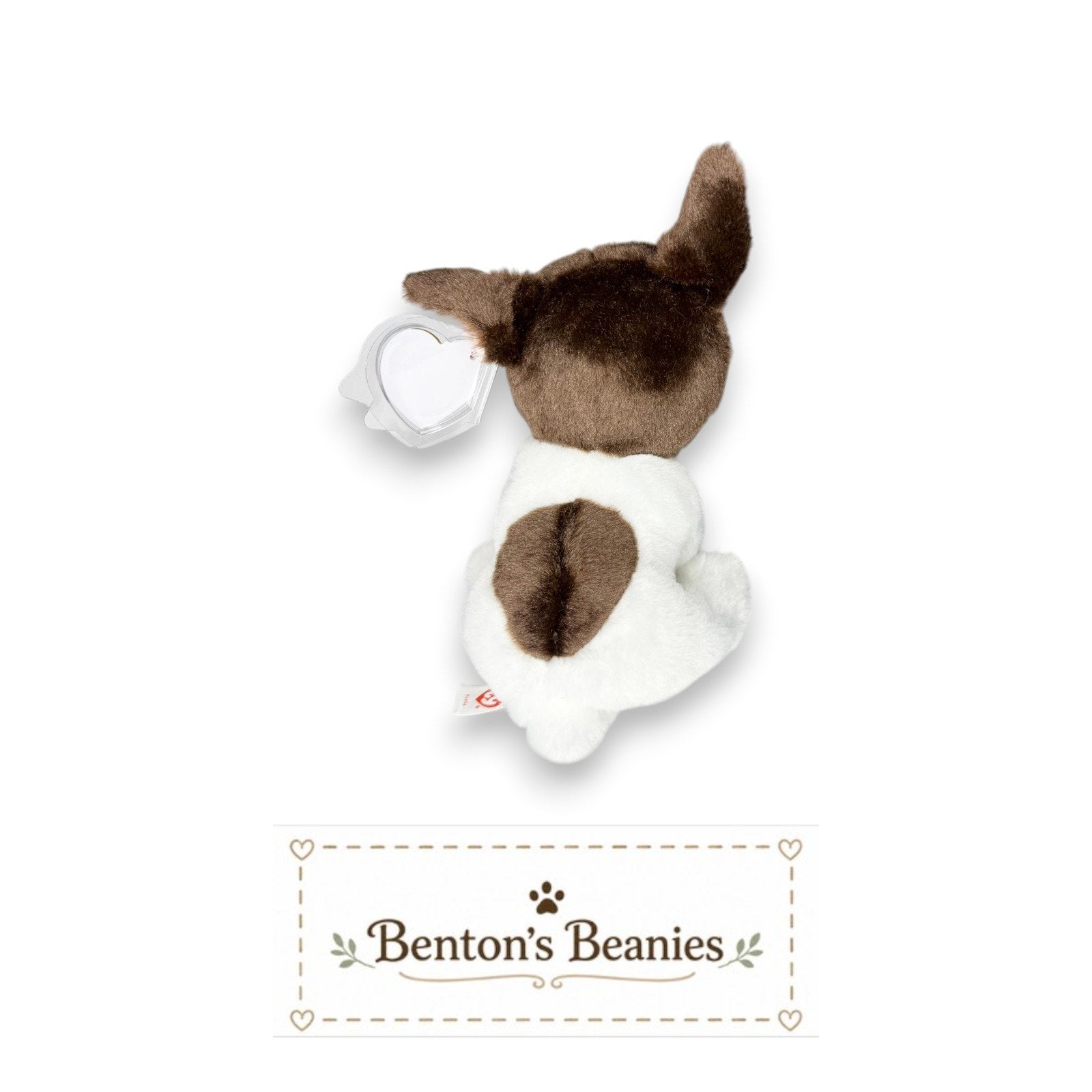 Portia the Dog TY Beanie Baby | Mint Heart & Tush Tag