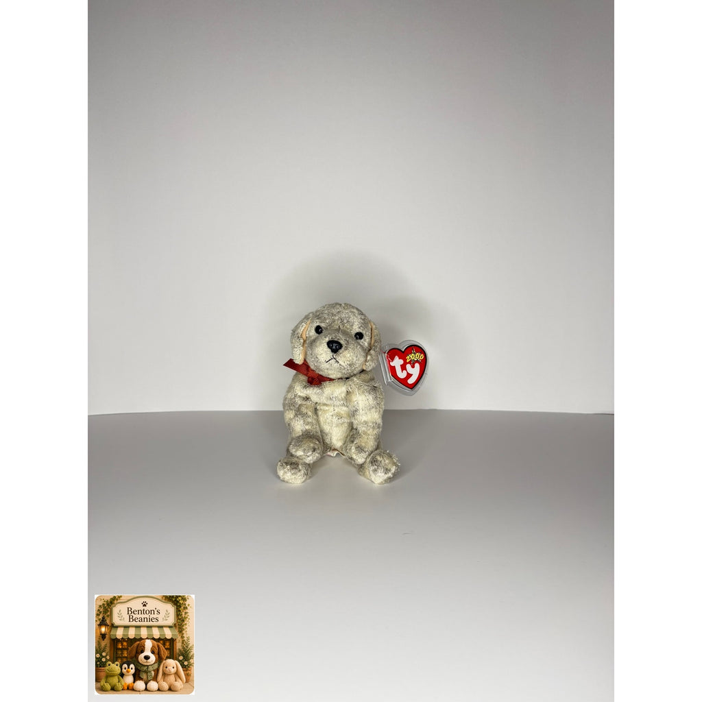 Tricks the Dog TY Beanie Baby | Mint Heart & Tush Tag