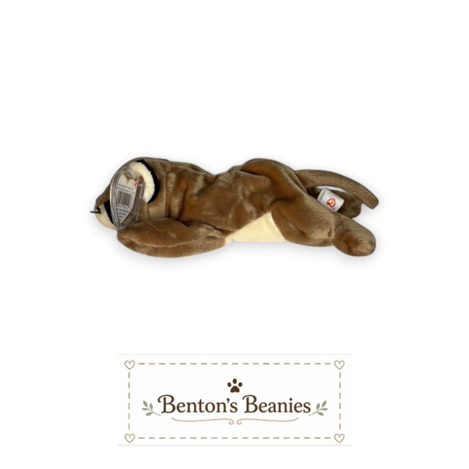 Canyon the Cougar TY Beanie Baby | Mint Heart/Tush Tag