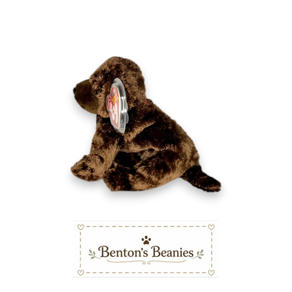 Muddy the Dog TY Beanie Baby | Mint Heart & Tush Tag