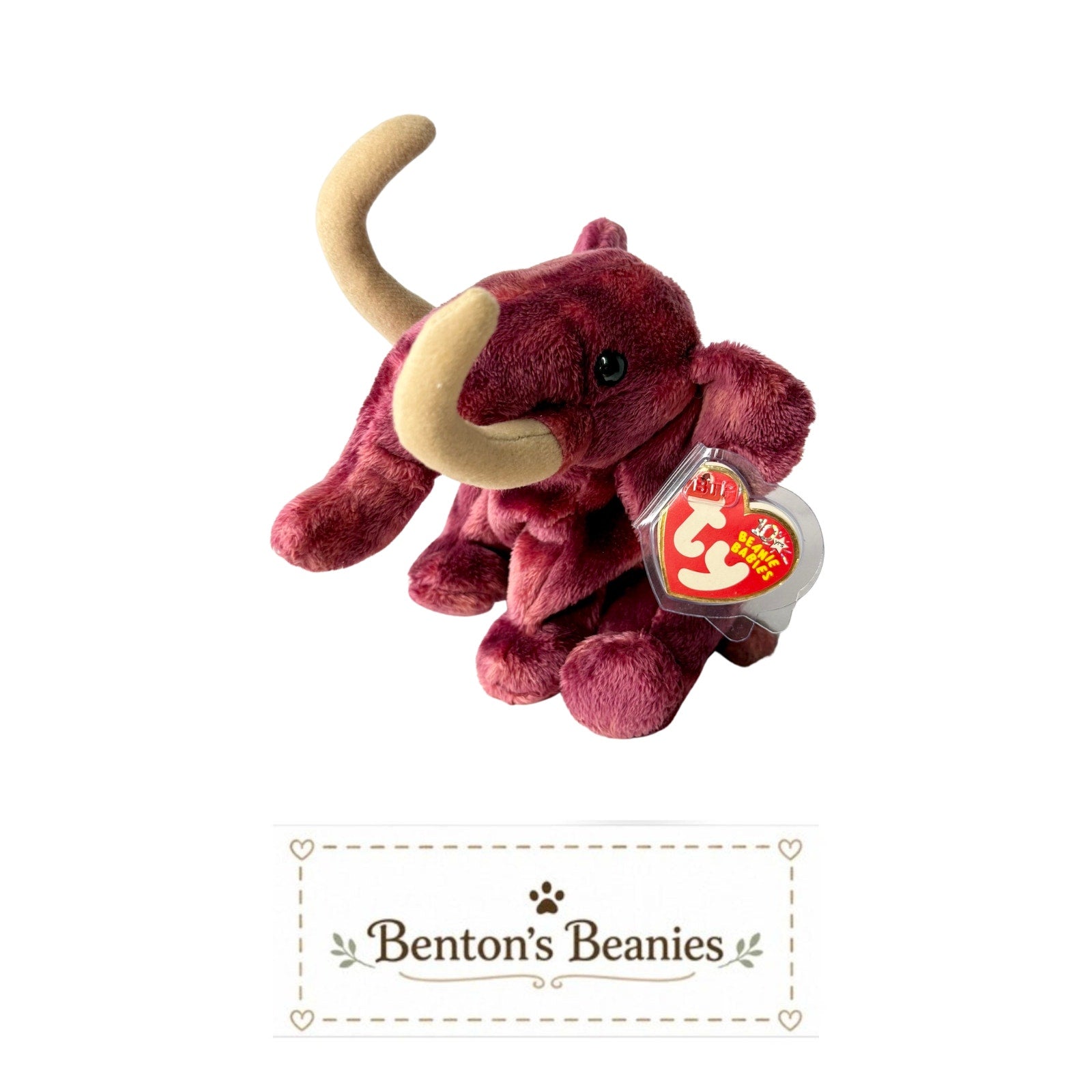 Colosso the Mammoth TY Beanie Baby | Mint Heart Tags