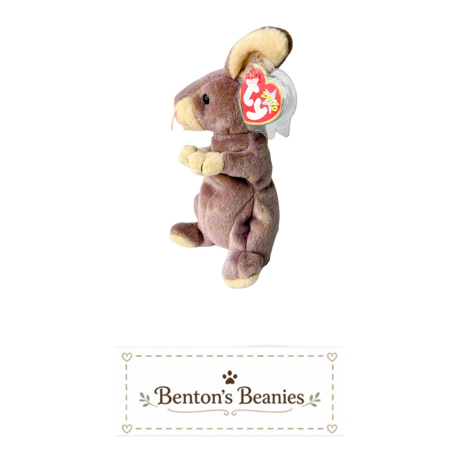 Springy the Rabbit TY Beanie Baby | Mint Heart & Tush Tag