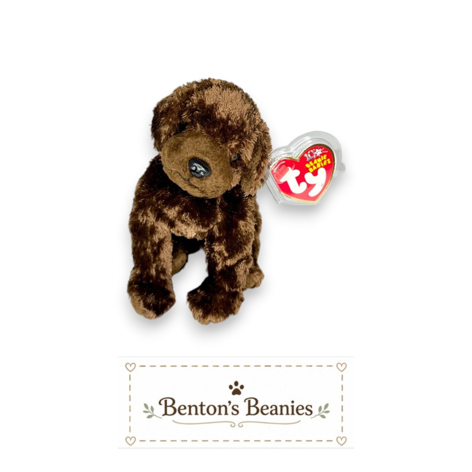 Muddy the Dog TY Beanie Baby | Mint Heart & Tush Tag