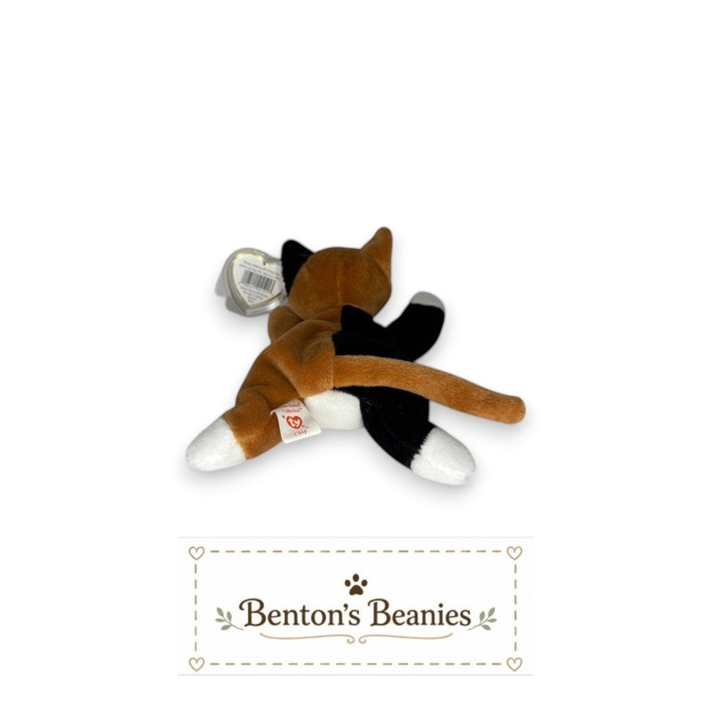 Chip the Calico Cat TY Beanie Baby | Mint Heart & Tush Tag