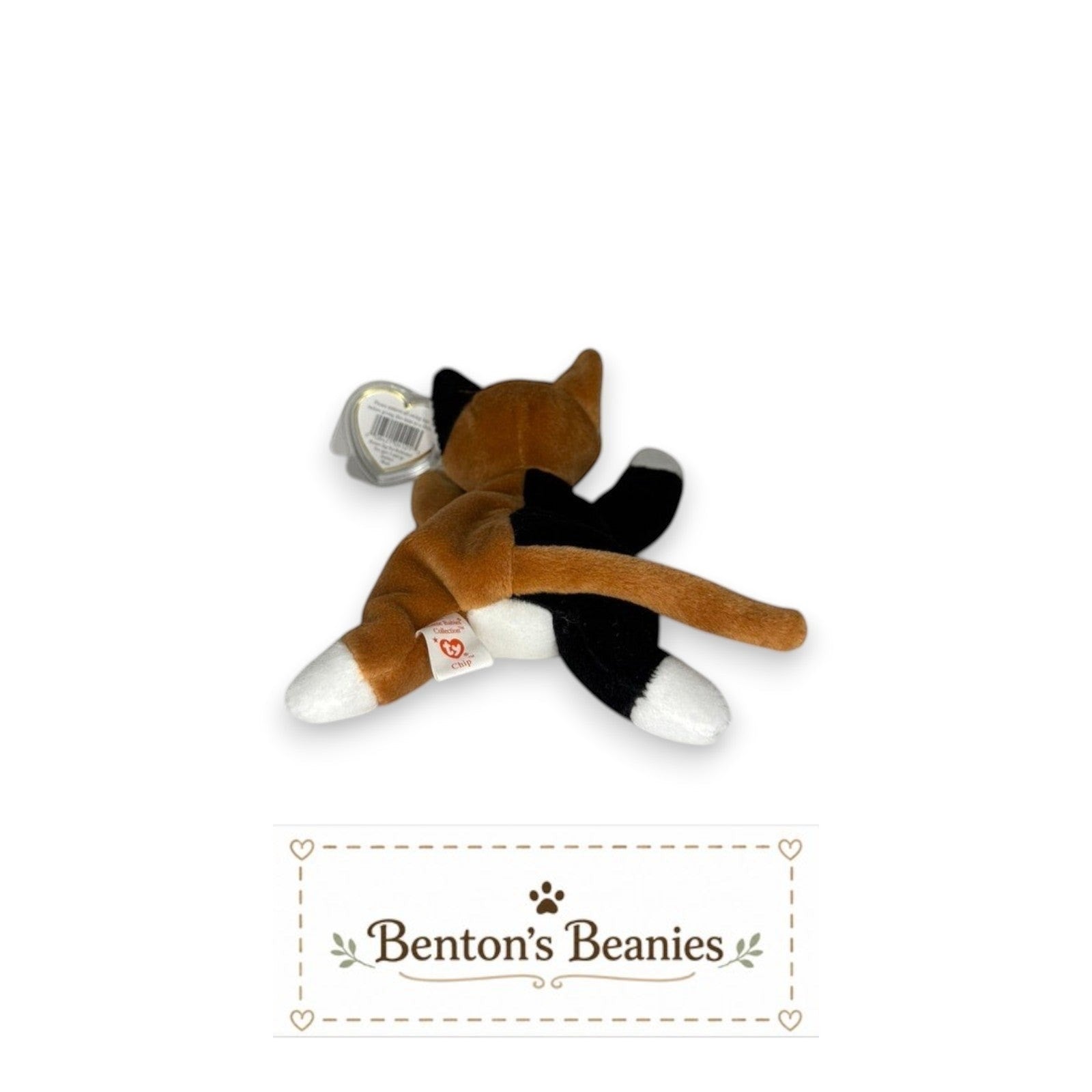 Chip the Calico Cat TY Beanie Baby | Mint Heart & Tush Tag