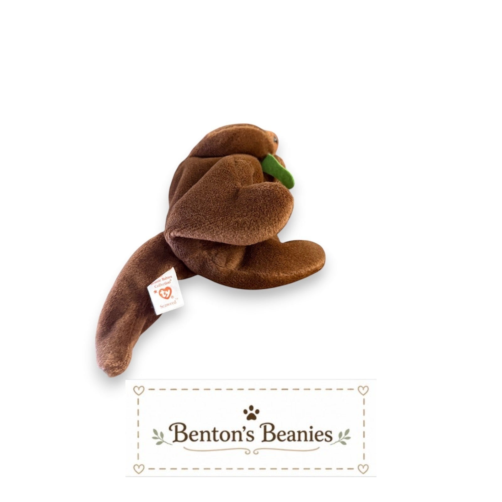 Seaweed the Otter TY Beanie Baby | Mint Heart & Tush Tag