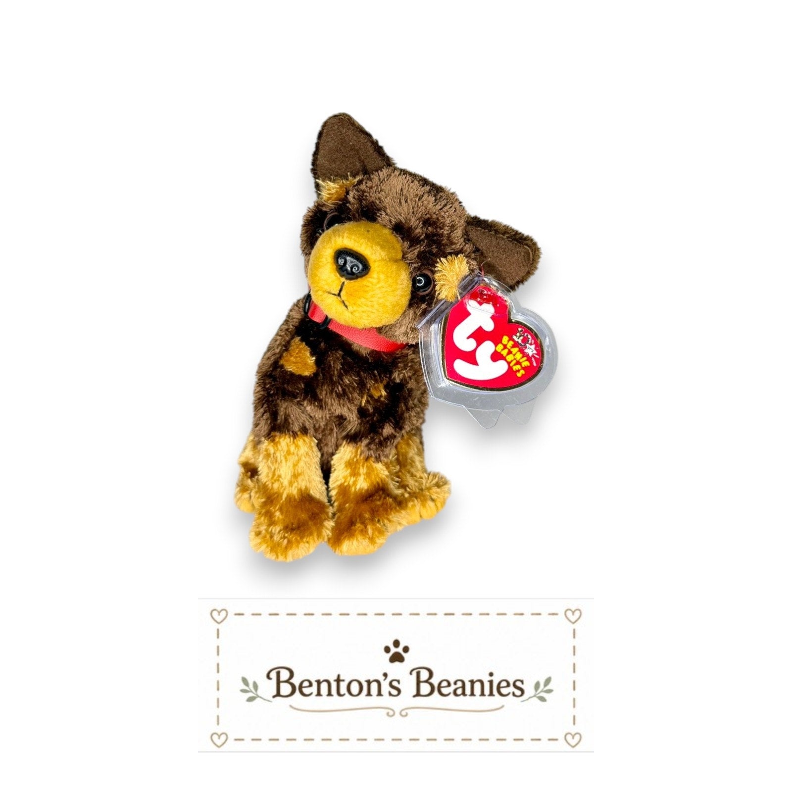 Amigo the Dog TY Beanie Baby | Mint Heart & Tush Tag
