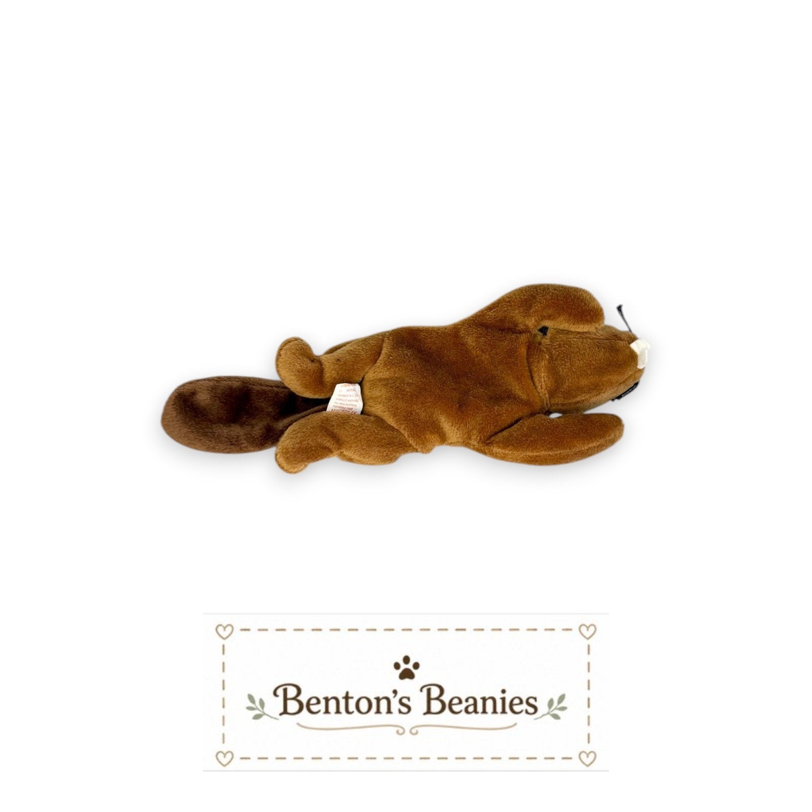 Bucky the Beaver TY Beanie Baby | Mint Heart & Tush Tag
