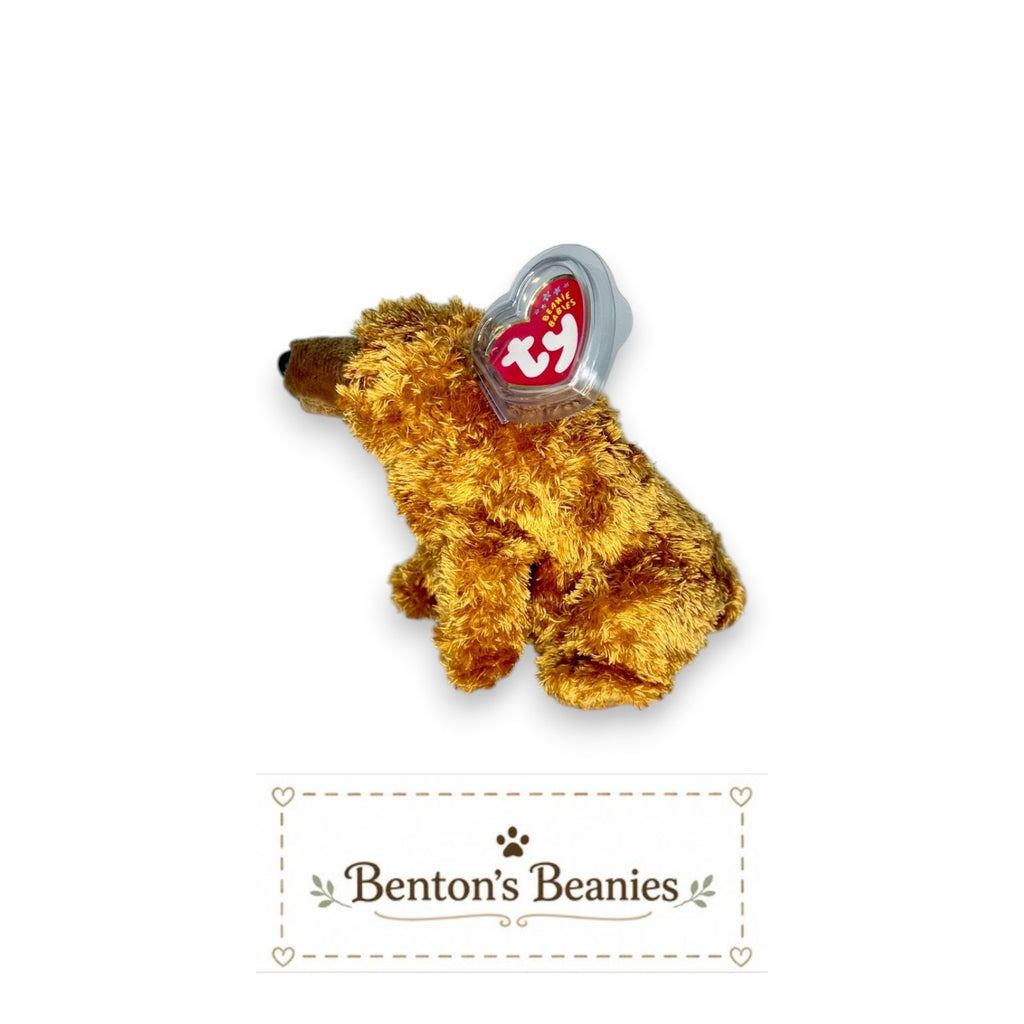 Sequoia the Bear TY Beanie Baby | Mint Heart & Tush Tag