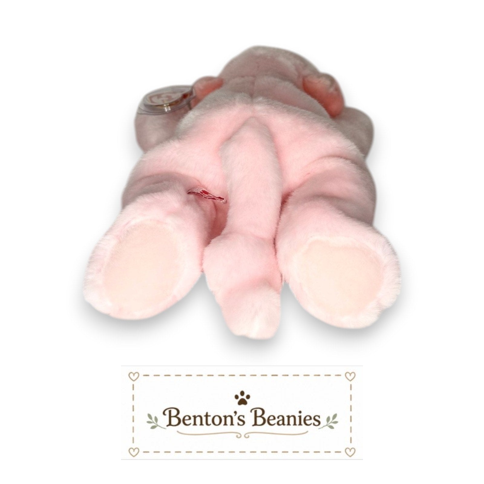 Squealer the Pig TY Beanie Buddies | Mint Tags
