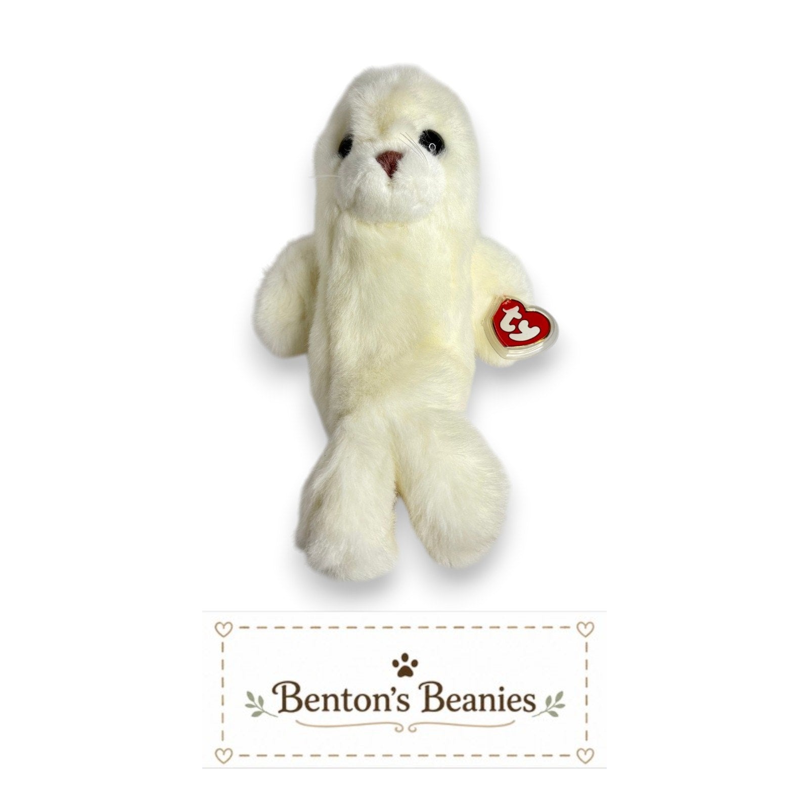 Misty the Seal TY Classic (Buddy Size) | Mint Heart Tush Tag