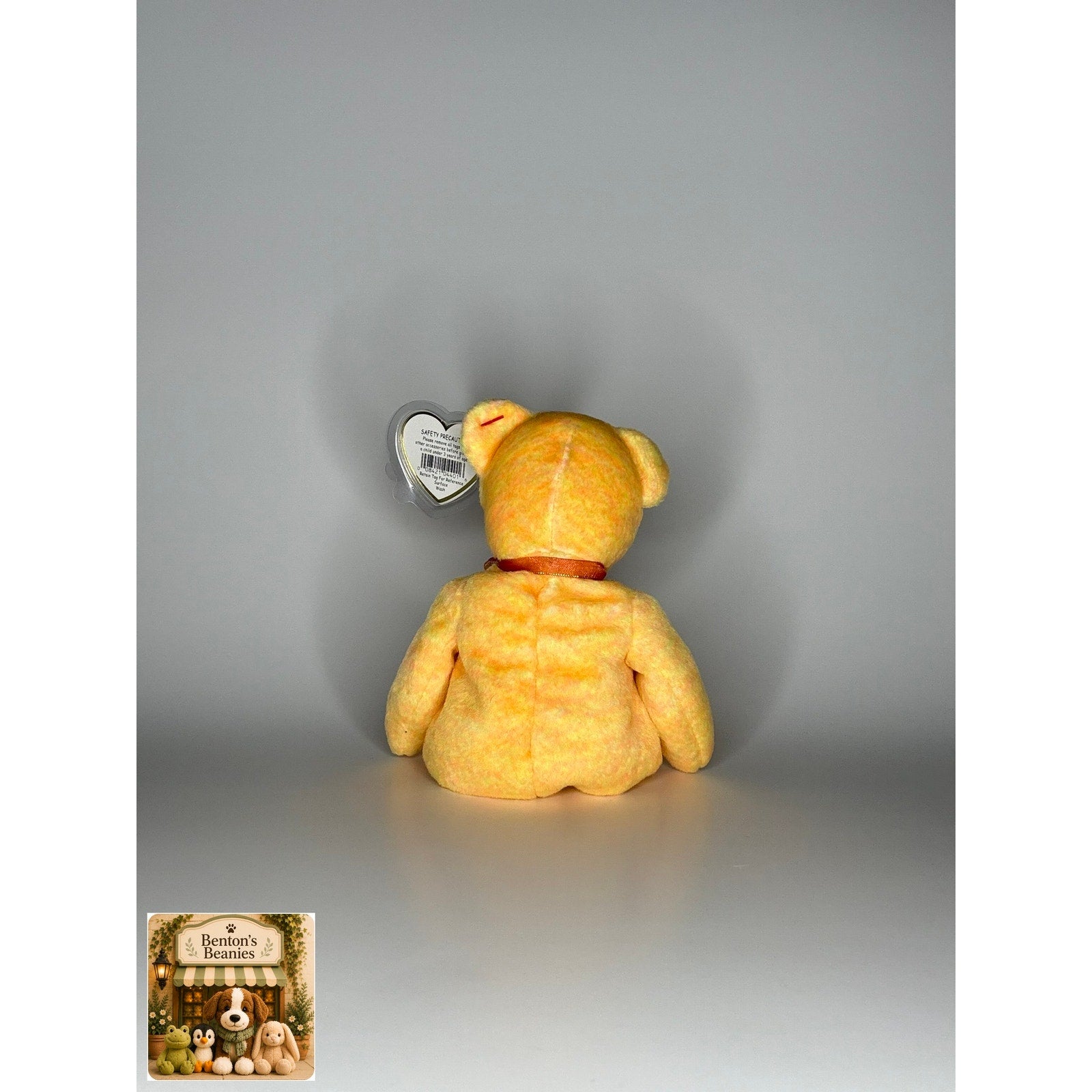 Sunny the Bear TY Beanie Baby | Mint Heart & Tush Tag
