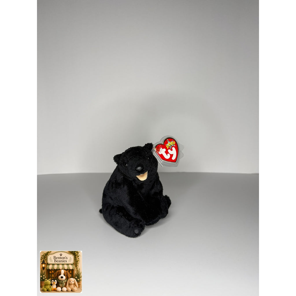 Cinder the Blackbear TY Beanie Baby | Mint Heart & Tush Tag