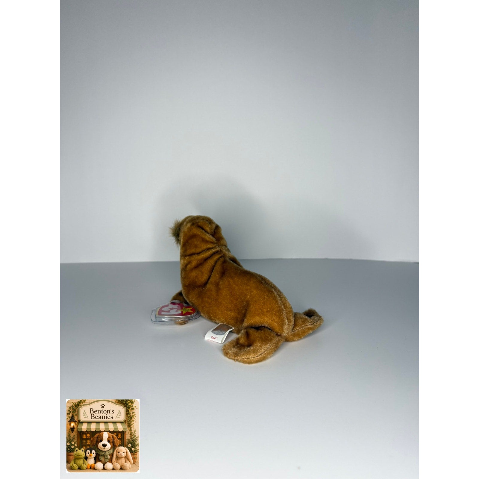 Paul the Walrus TY Beanie Baby | Mint Heart & Tush Tag