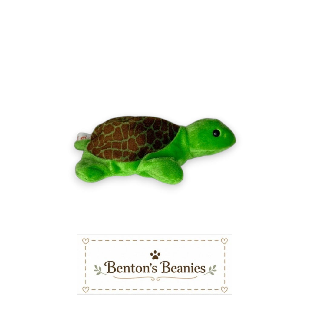 Speedy the Turtle TY Beanie Baby | Mint Heart/Tush Tag