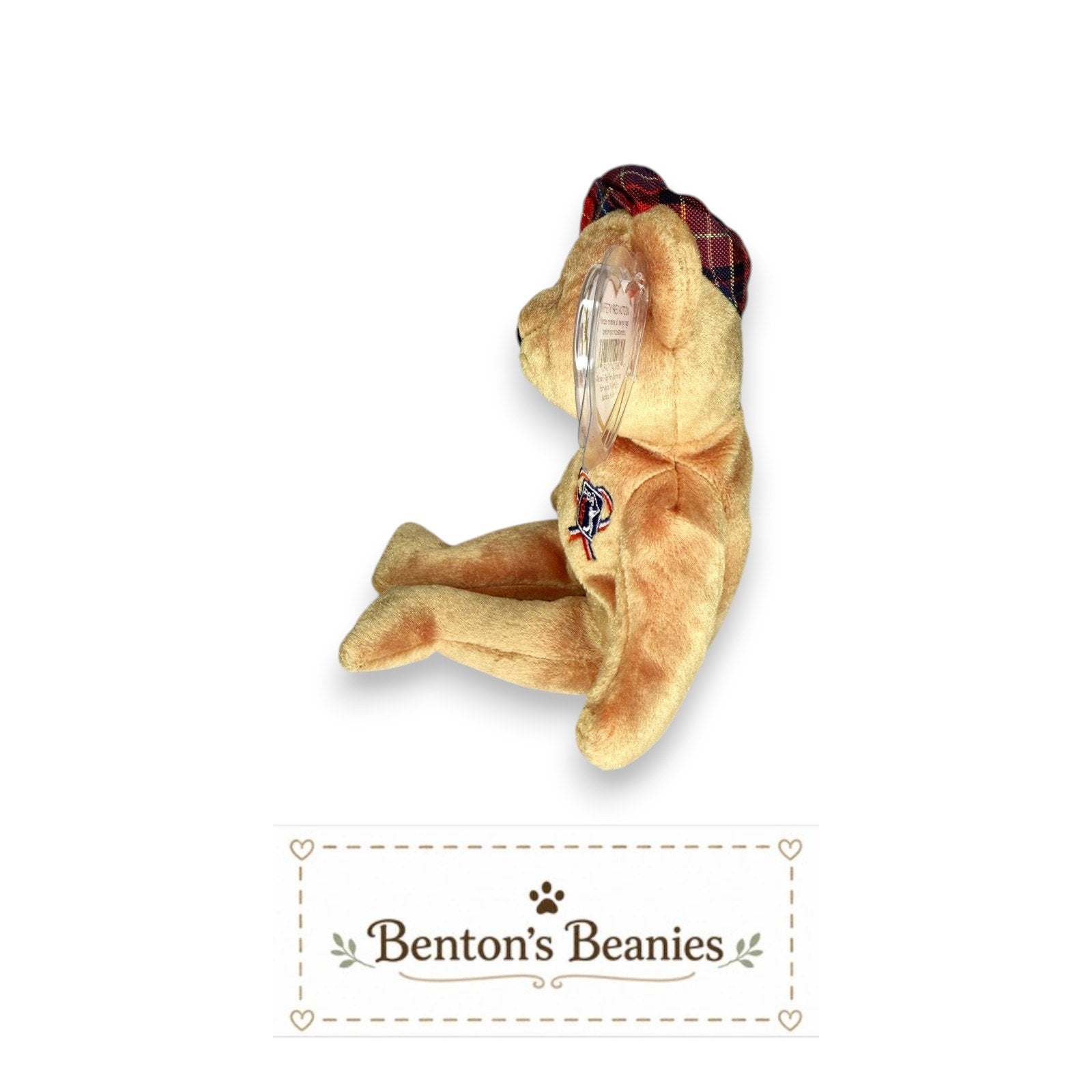ChariTee the Bear TY Beanie Baby | Mint Heart & Tush Tag